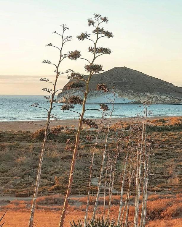Villa Exclusiva Casa Con Encanto En Agua Amarga